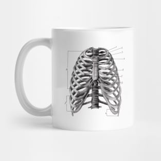 Human rib cage print Mug